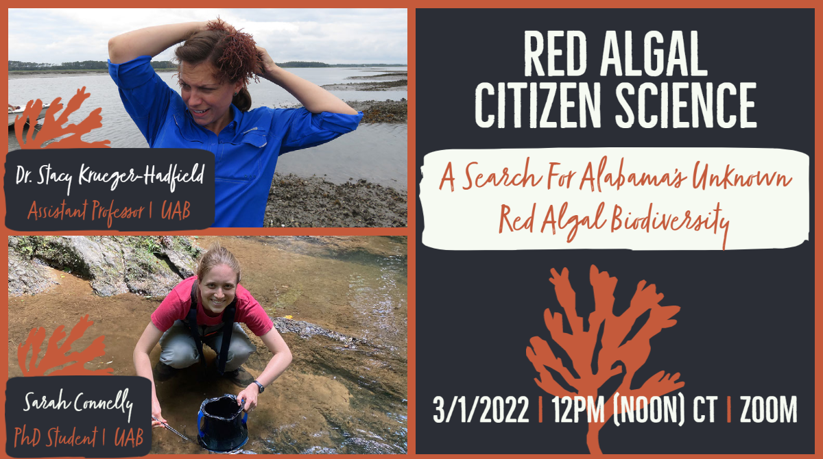 Red Algal Citizen Science