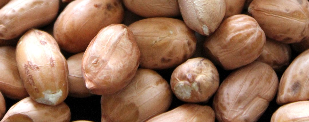 Performance of Peanut Varieties in Alabama 2019