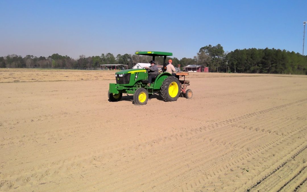 Planting Small grains at Brewton Research and Extension Center