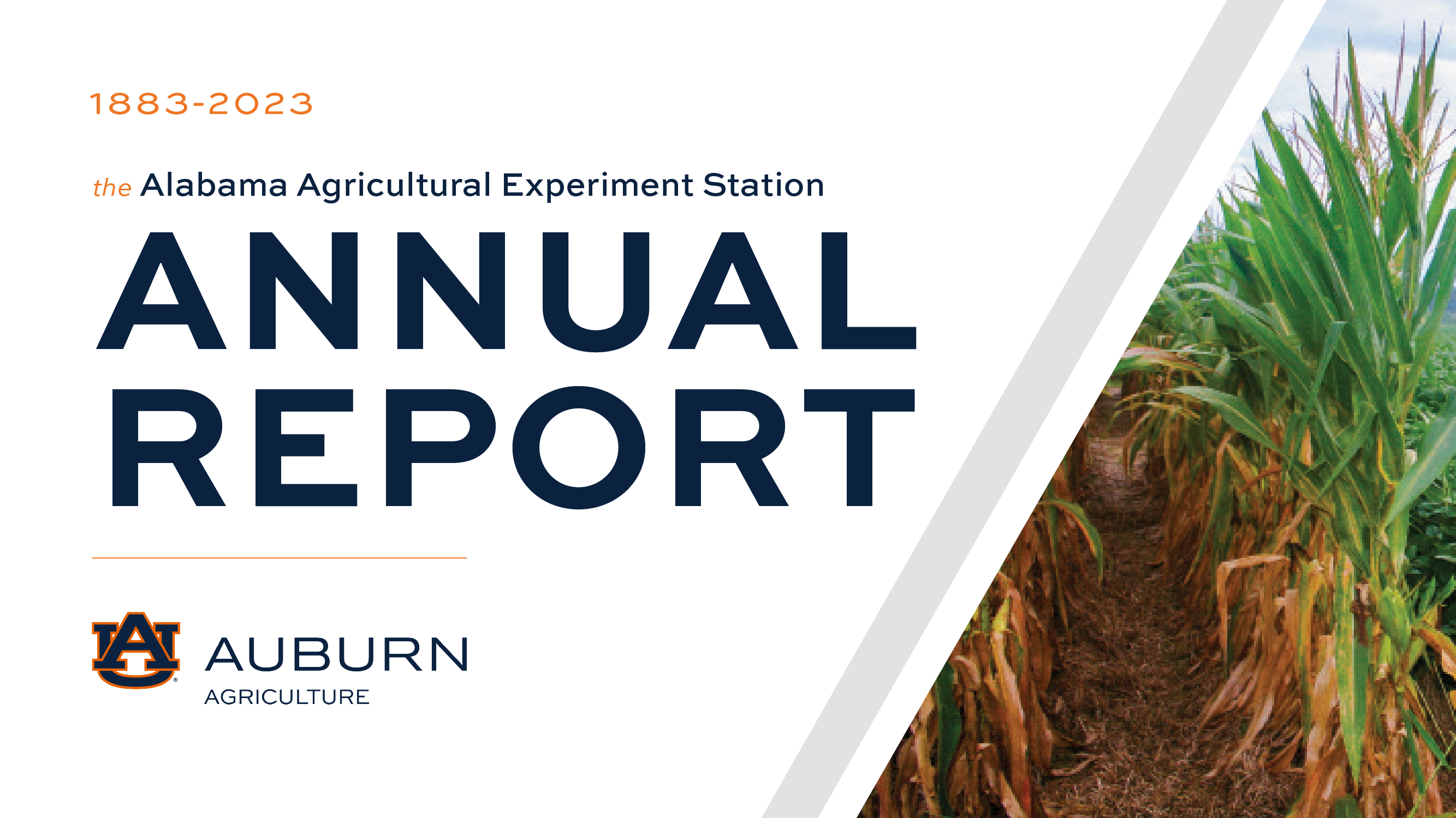 Auburn-Agriculture-Annual-Report-Image-2023