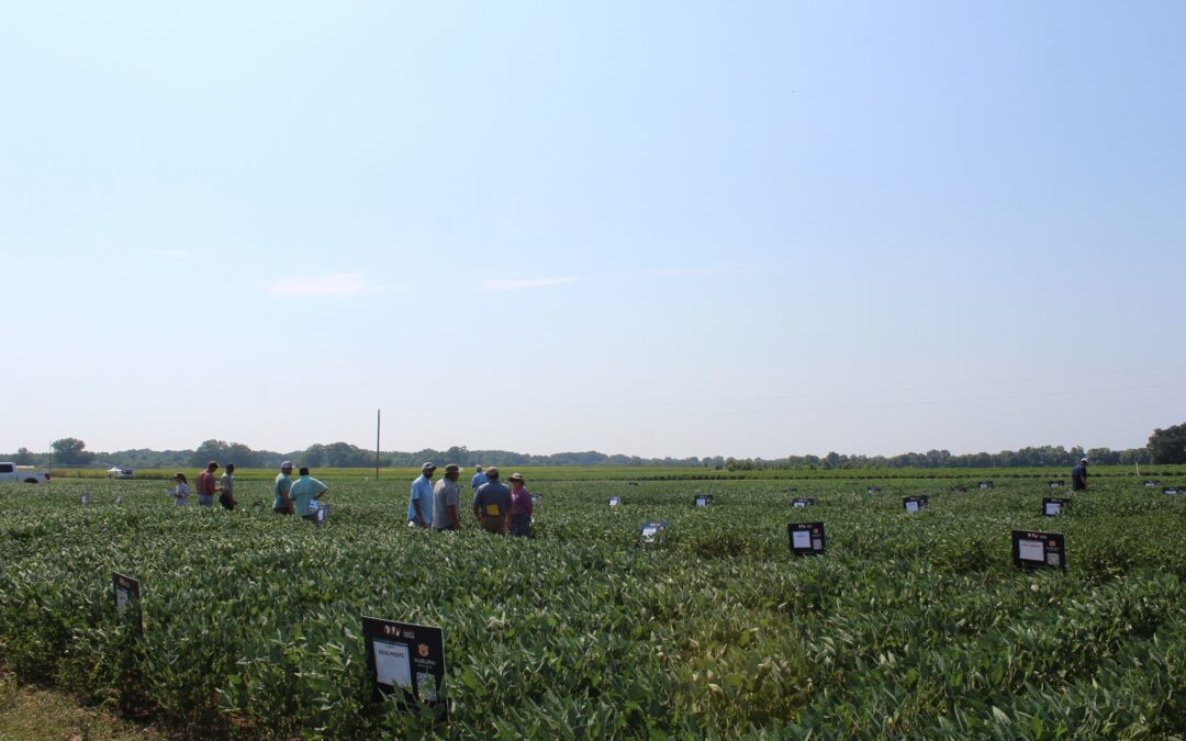 Performance of Soybeans in Alabama, 2025