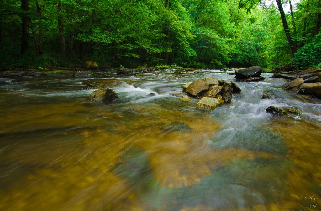 A River Celebration for Alabama’s Bicentennial!