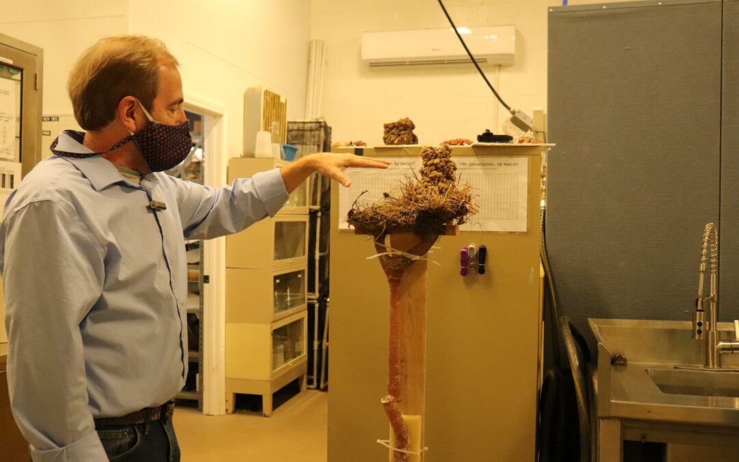 Stressed Out Natives with Dr. Jim Stoeckel