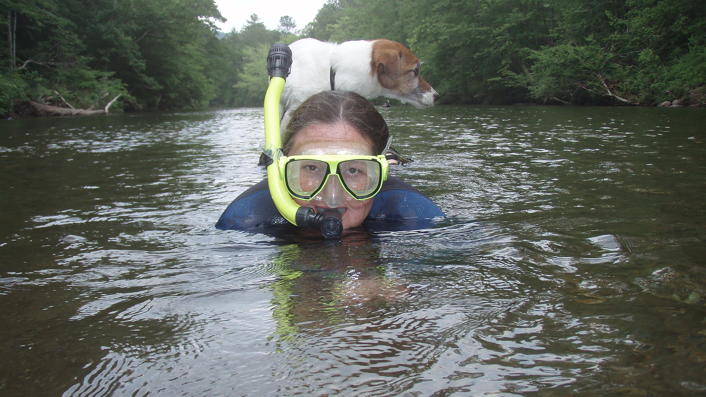 Carol Johnston snorkeling a creek