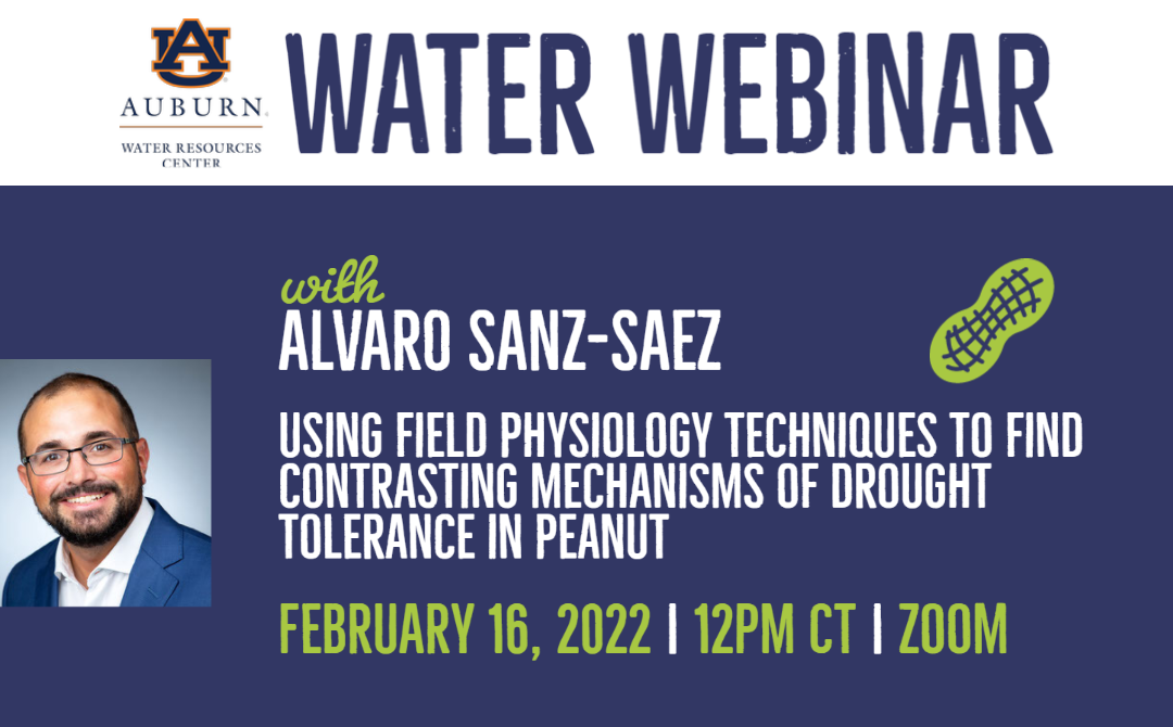 WRC Water Webinar – Using Field Physiology Techniques to Find Contrasting Mechanisms of Drought Tolerance in Peanut