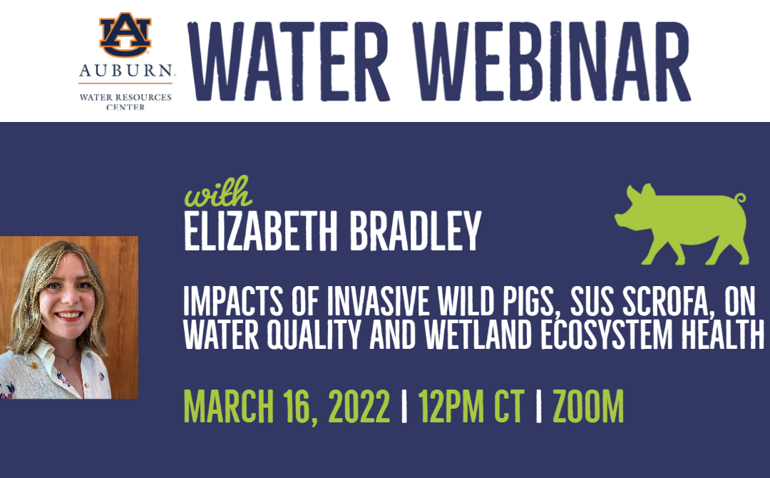 WRC Water Webinar – Impacts of Invasive Wild Pigs, Sus Scrofa, on Water Quality and Wetland Ecosystem Health
