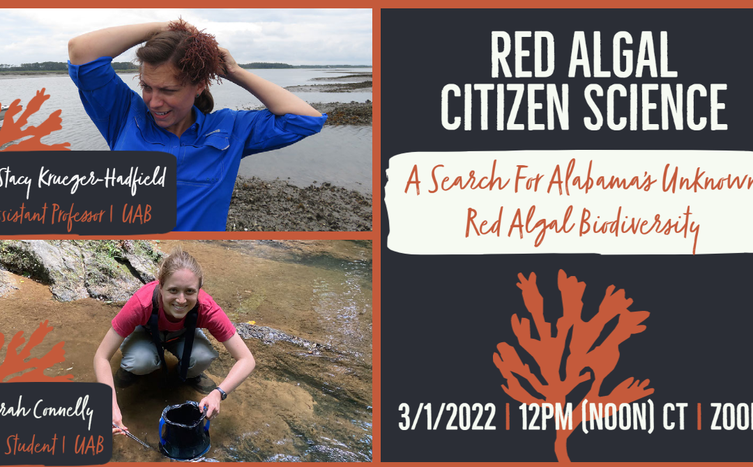 Red Algal Citizen Science Webinar: A Search For Alabama’s Unknown Red Algal Biodiversity