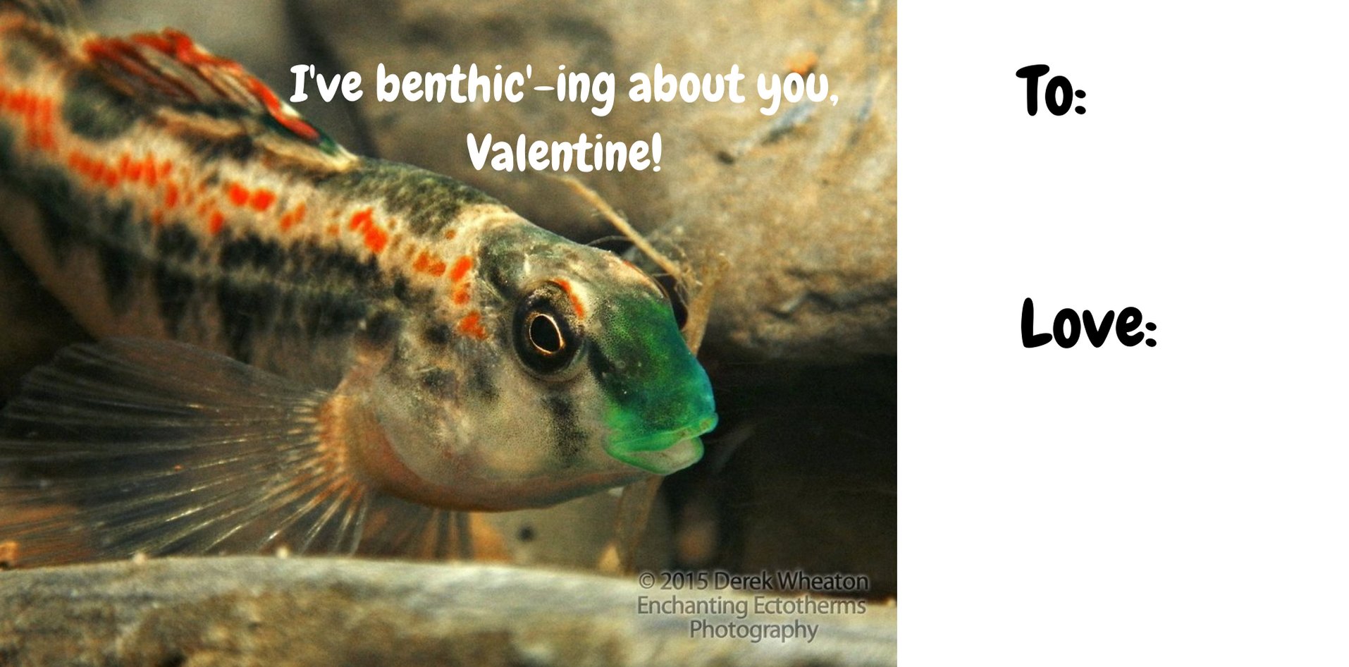 Fishy-Valentine-Benthicing-About-You-Kara-Million