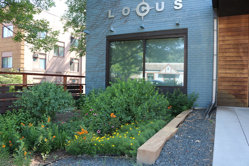 Example of a rain garden installed in front of a storefront
