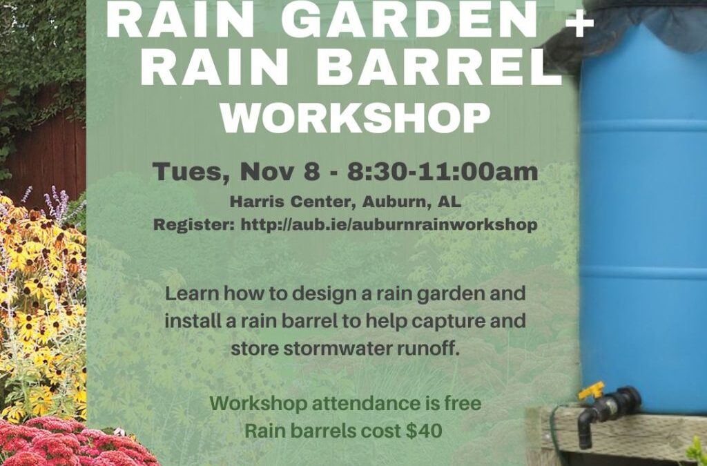 Rain Garden and Rain Barrel Workshop