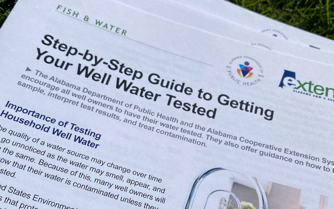 A Step-by-Step Guide to Getting Your Well Water Tested