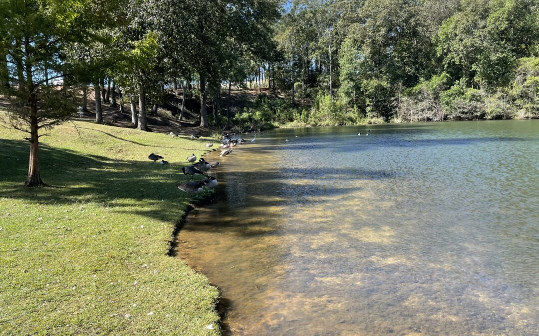 AWW Fall Training Recap