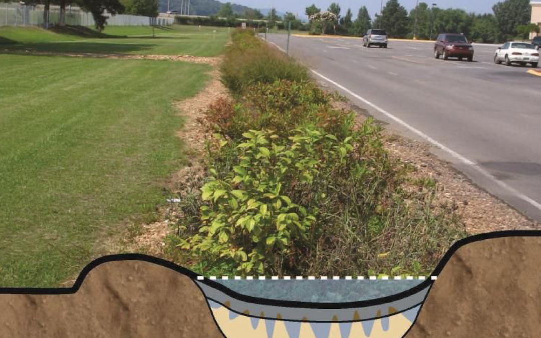 Nature-Based Stormwater Solutions Training