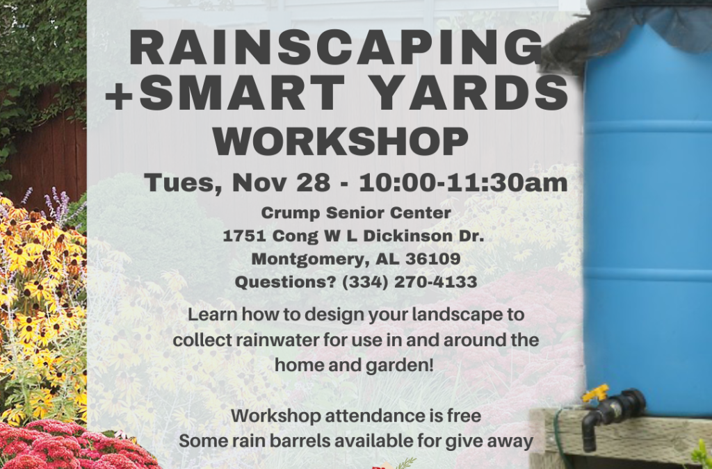 Rainscaping and Smart Yards Workshop