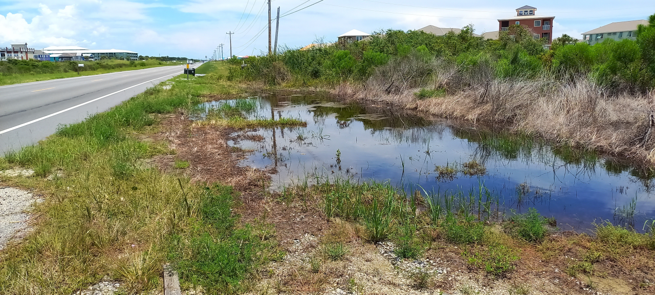 Meet Dr. Jose G. Vasconcelos | Auburn University Water Resources Center