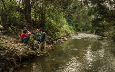 Global Water Watch’s 2024 Impact