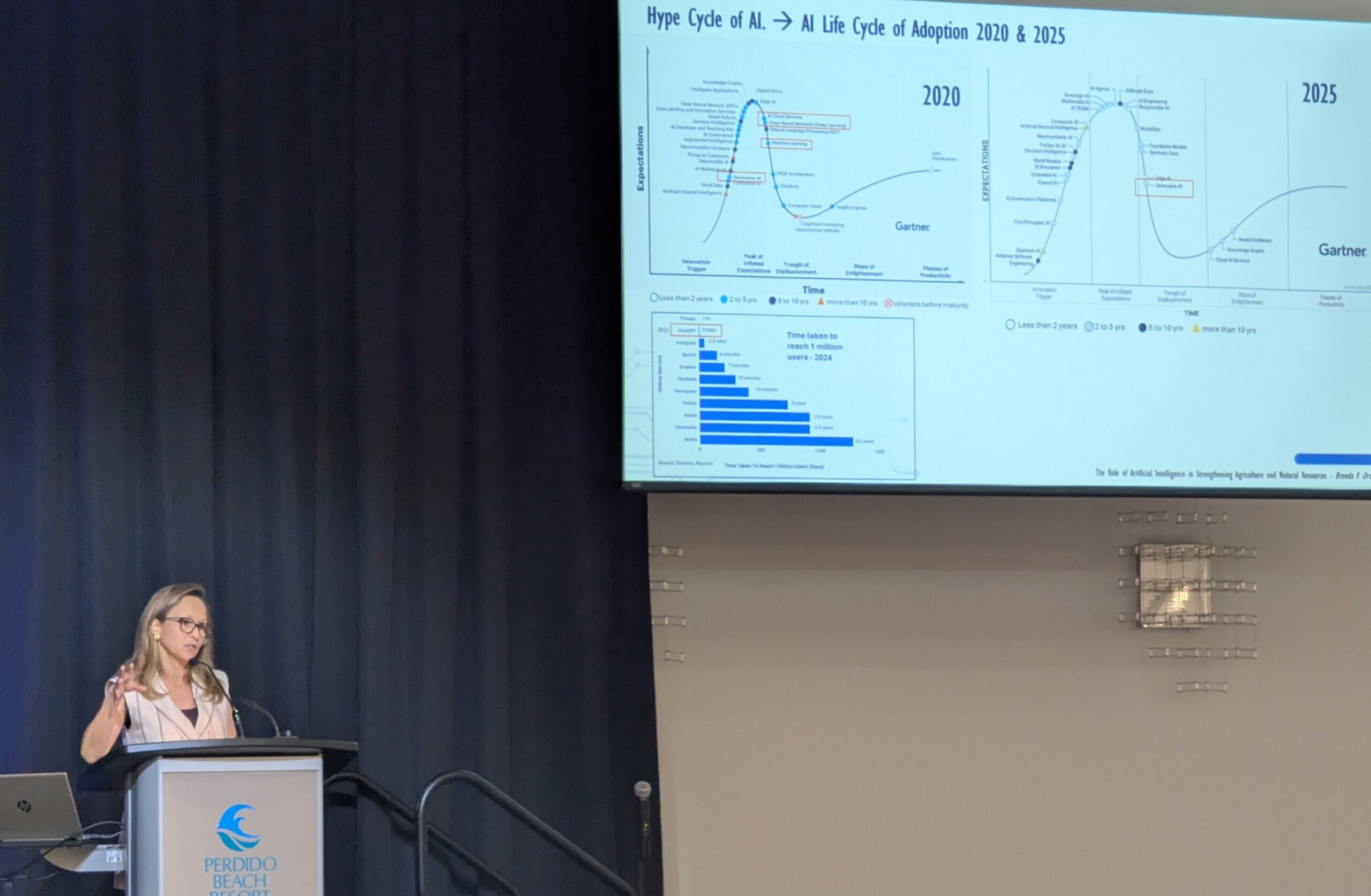 Road Stream Crossing