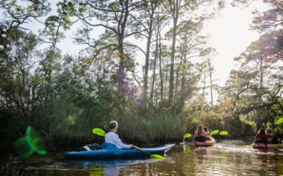 Alabama’s Local Waterways and Ecotourism