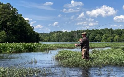 Tallapoosa River Basin