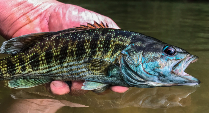 Example of stream bank erosion