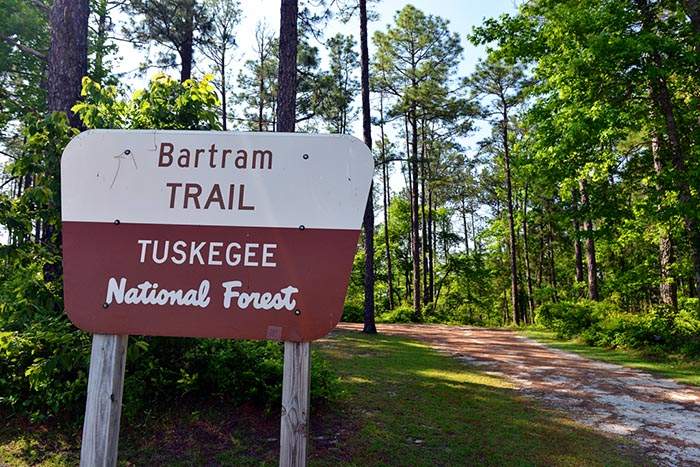 Example of stream bank erosion