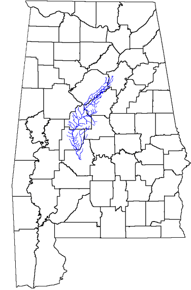 Example of stream bank erosion