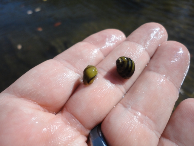 Example of stream bank erosion