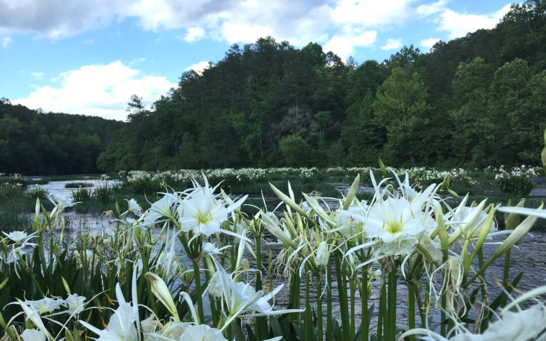 Cahaba River Basin