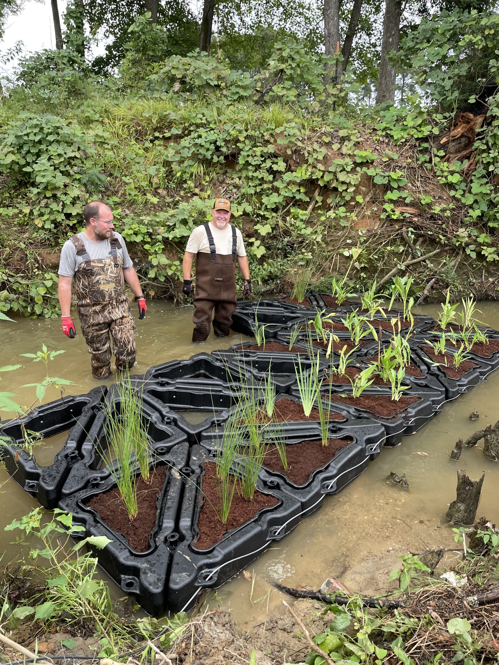 Floating wetlands 