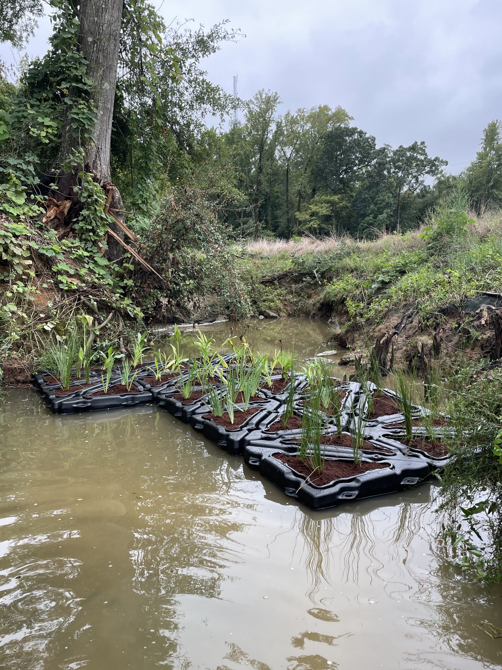 Floating wetlands 